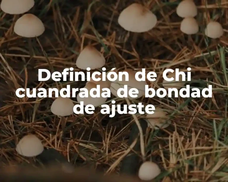 Definición de Chi cuandrada de bondad de ajuste