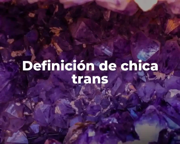 Definición de chica trans