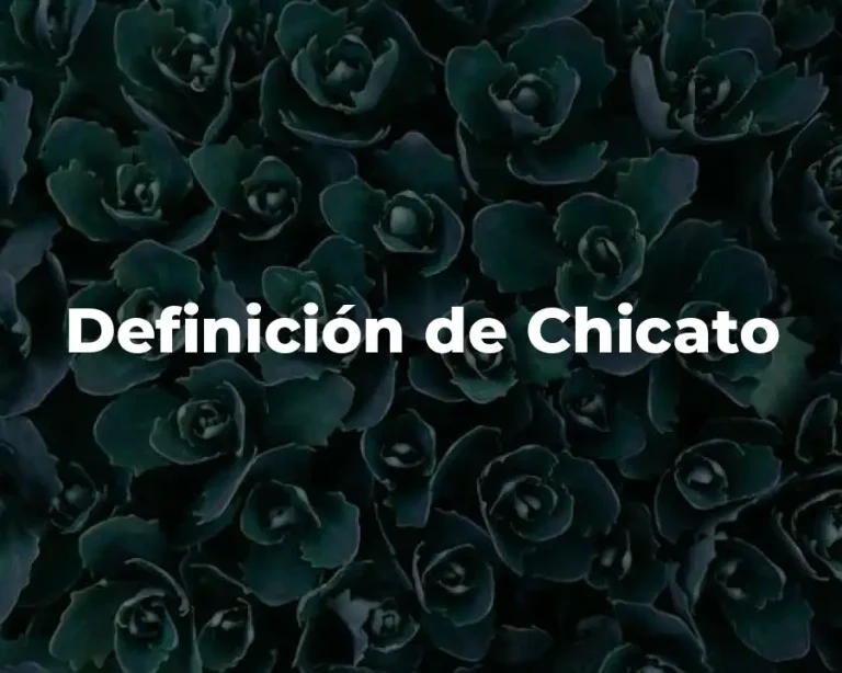 Definición de Chicato