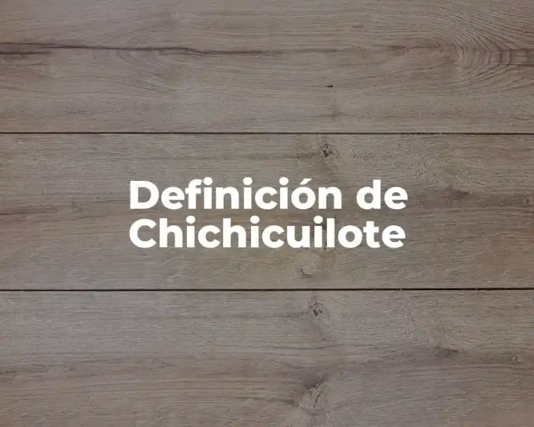 Definición de Chichicuilote
