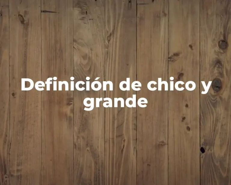 Definición de chico y grande