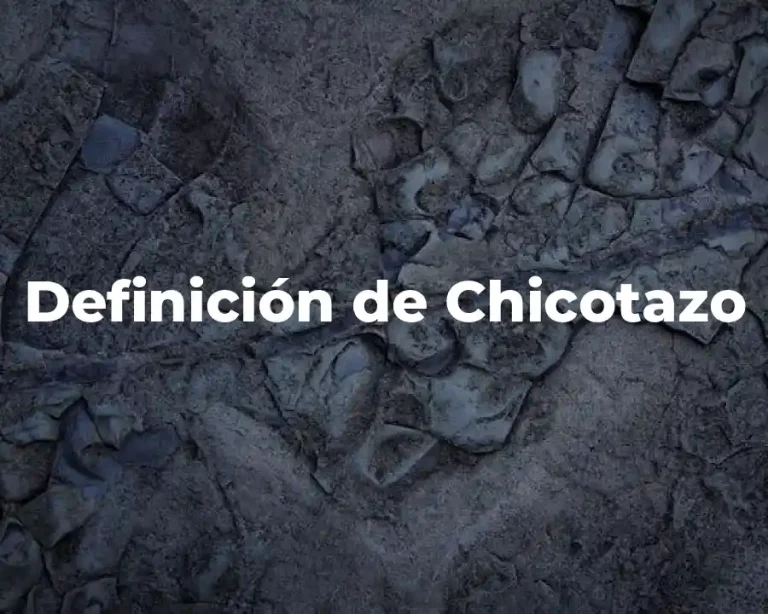 Definición de Chicotazo