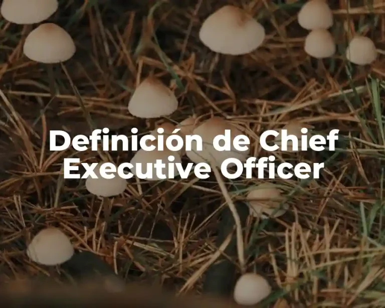 Definición de Chief Executive Officer