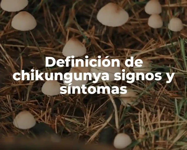 Definición de chikungunya signos y síntomas