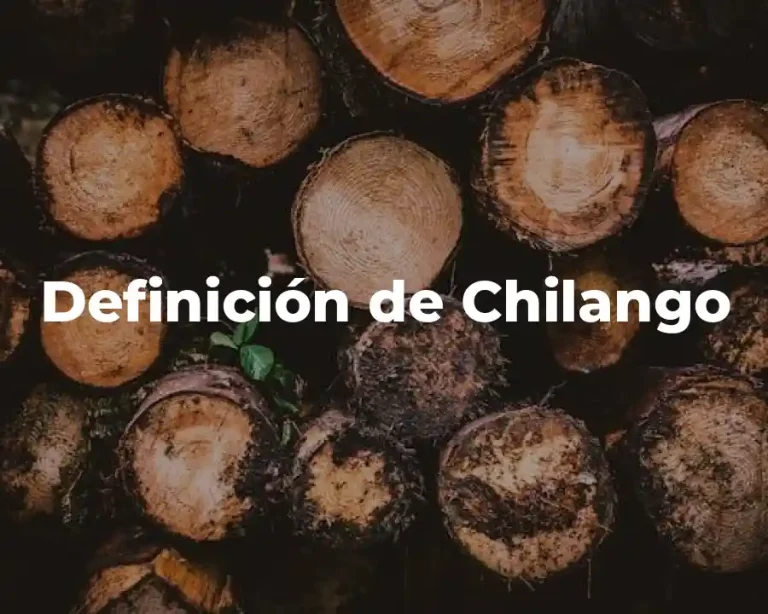 Definición de Chilango
