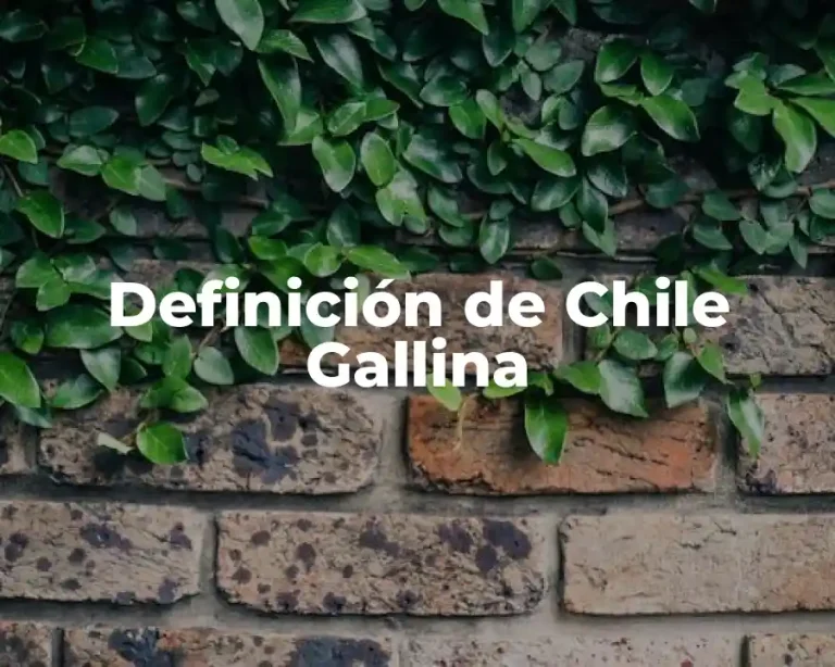 Definición de Chile Gallina
