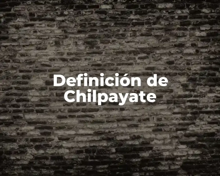 Definición de Chilpayate