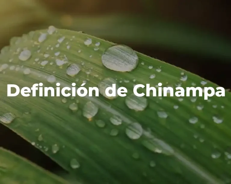 Definición de Chinampa