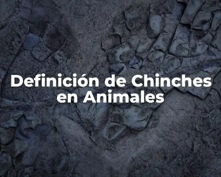 Definición de Chinches en Animales