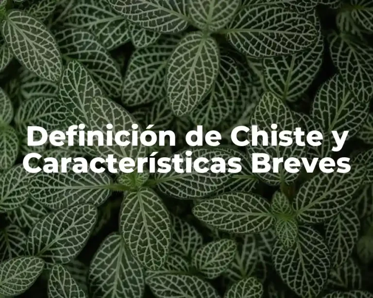 Definición de Chiste y Características Breves