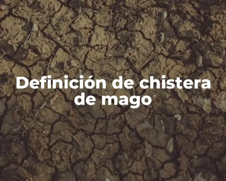 Definición de chistera de mago