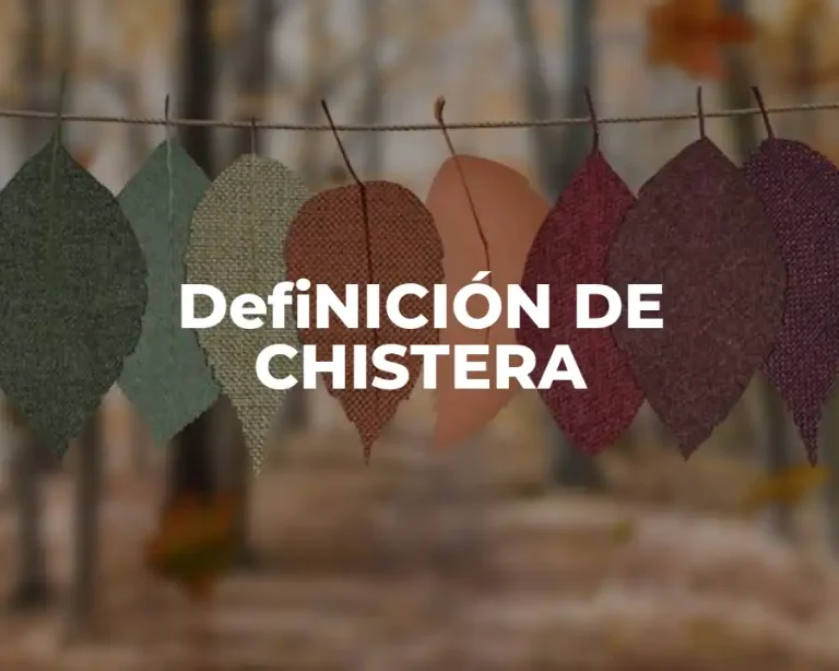 DefiNICIÓN DE CHISTERA