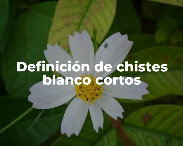 Definición de chistes blanco cortos