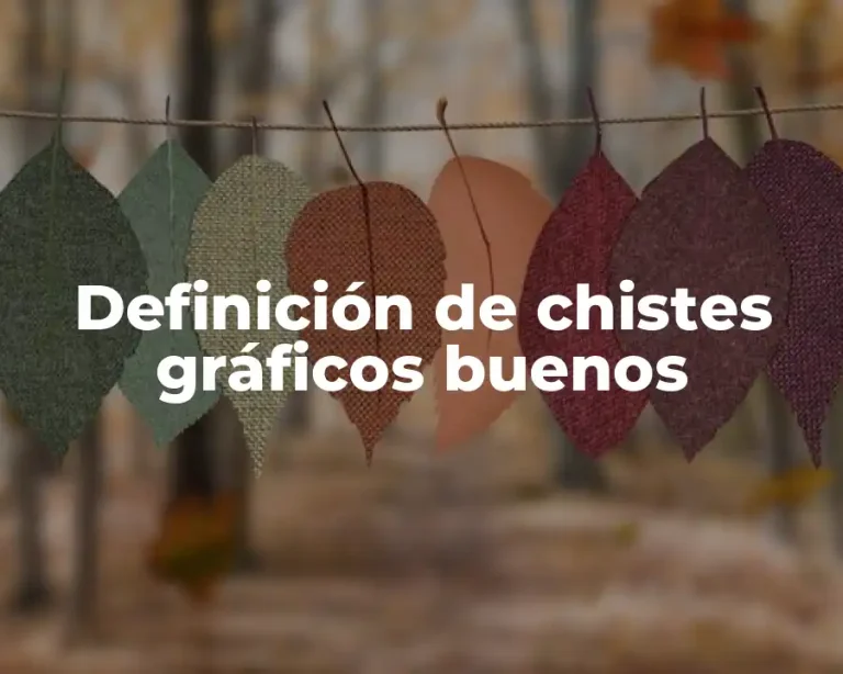 Definición de chistes gráficos buenos
