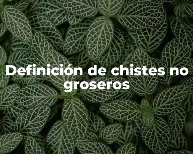 Definición de chistes no groseros