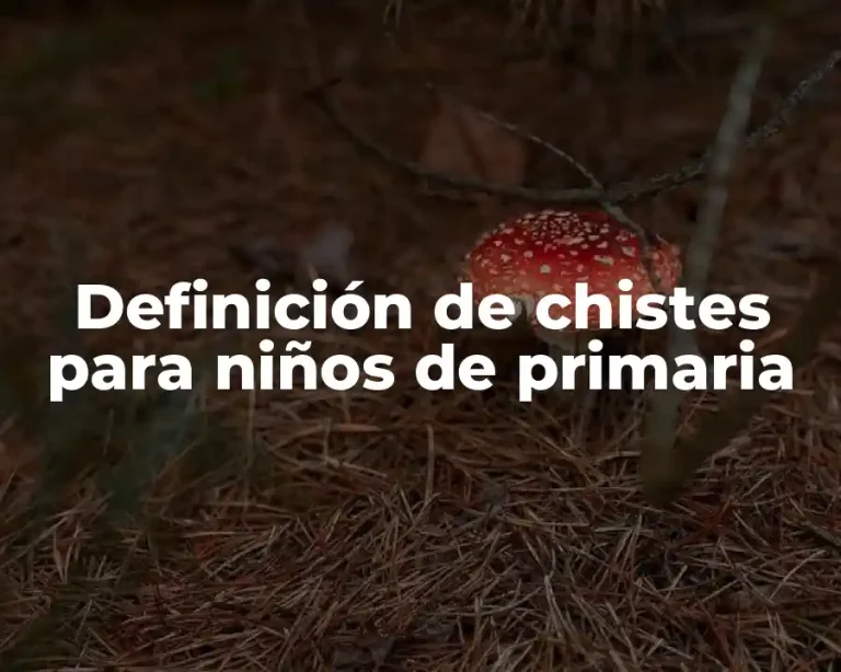 Definición de chistes para niños de primaria