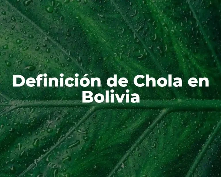 Definición de Chola en Bolivia