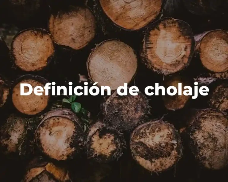 Definición de cholaje