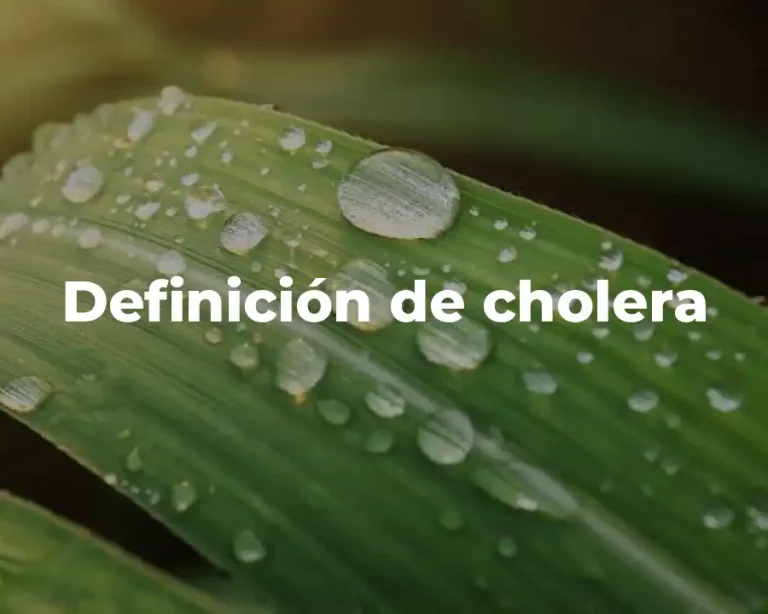 Definición de cholera
