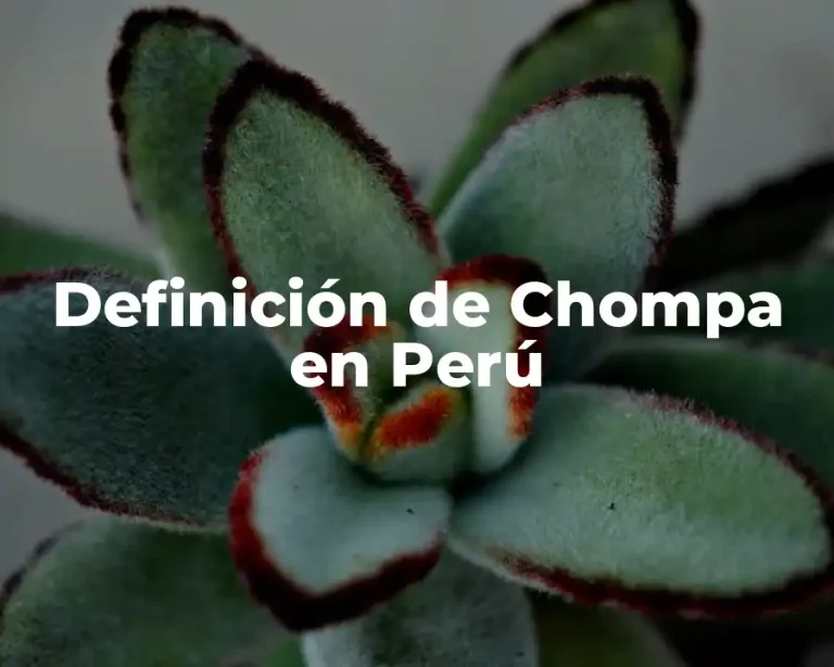 Definición de Chompa en Perú