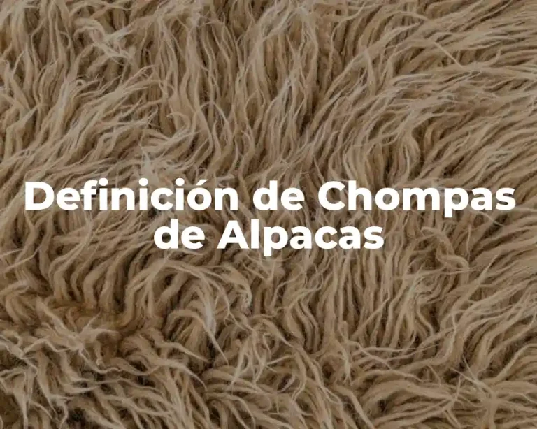 Definición de Chompas de Alpacas