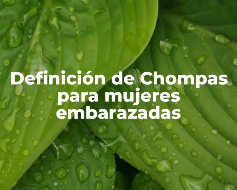 Definición de Chompas para mujeres embarazadas