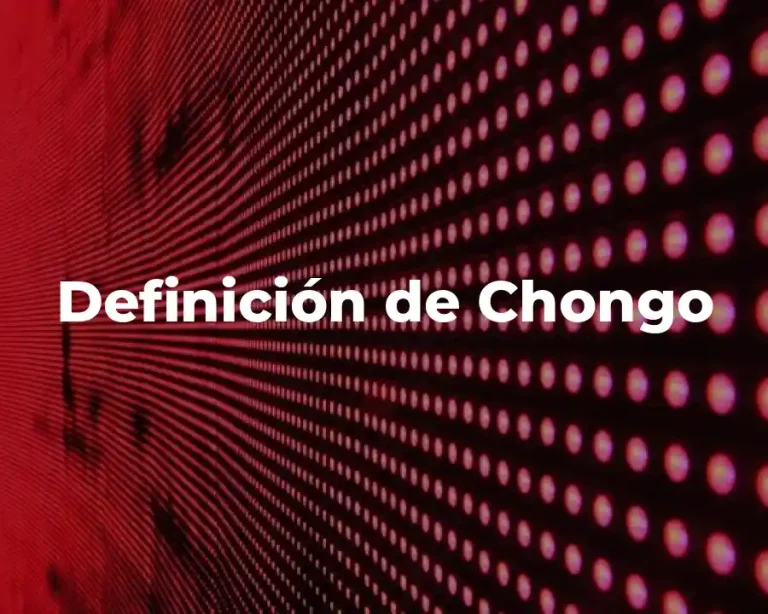 Definición de Chongo