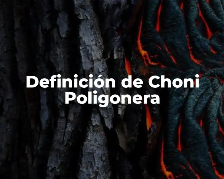 Definición de Choni Poligonera