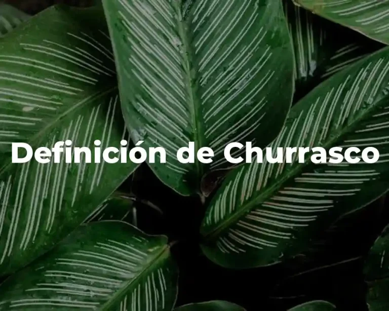 Definición de Churrasco