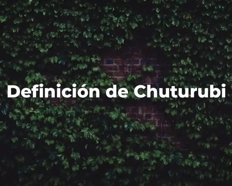 Definición de Chuturubi