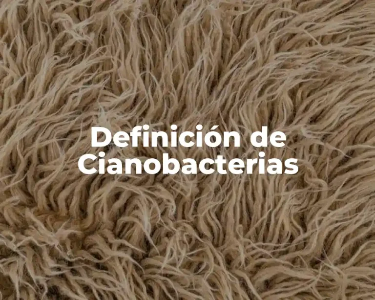 Definición de Cianobacterias