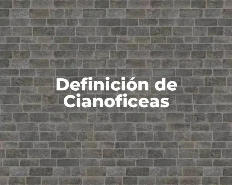 Definición de Cianoficeas