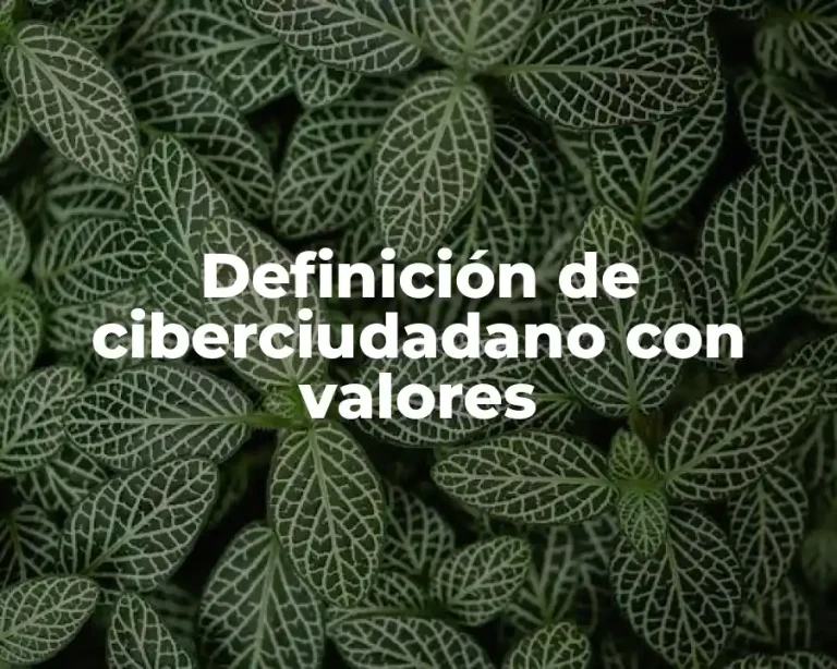 Definición de ciberciudadano con valores