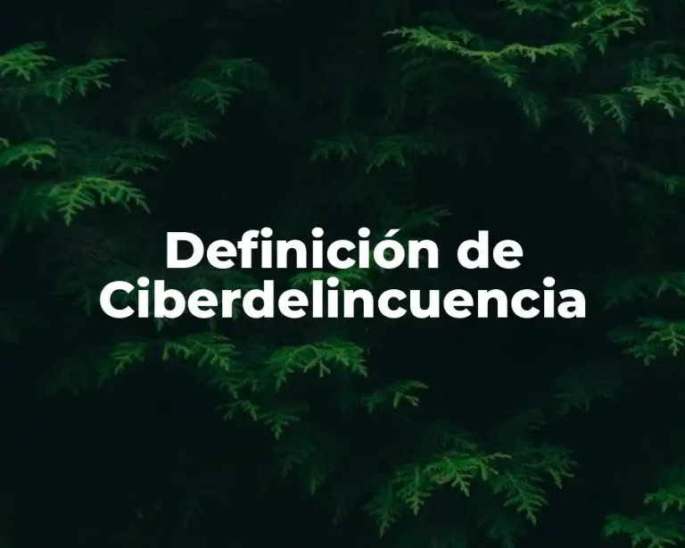 Definición de Ciberdelincuencia