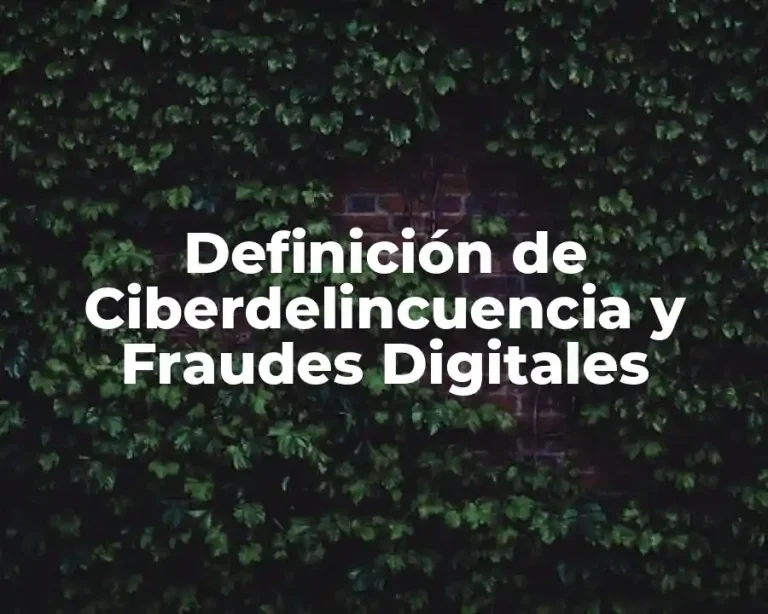 Definición de Ciberdelincuencia y Fraudes Digitales