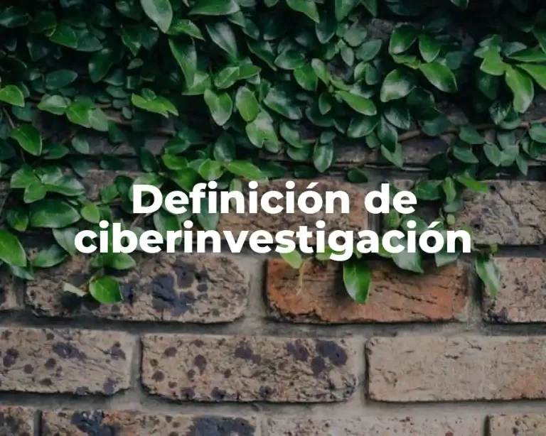 Definición de ciberinvestigación
