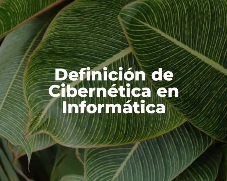 Definición de Cibernética en Informática