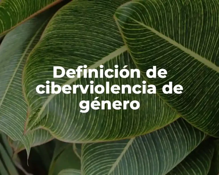 Definición de ciberviolencia de género