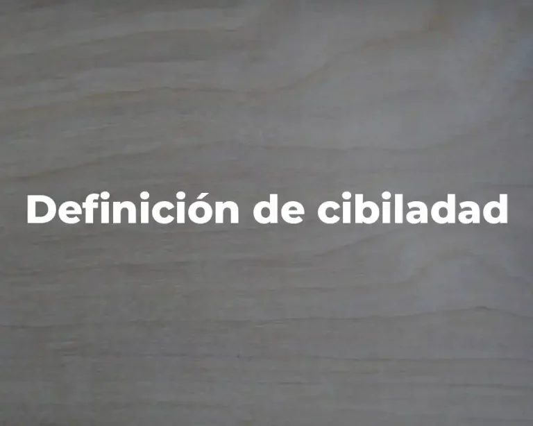 Definición de cibiladad