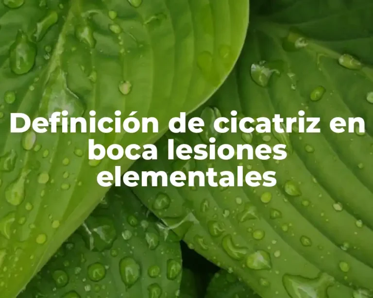 Definición de cicatriz en boca lesiones elementales