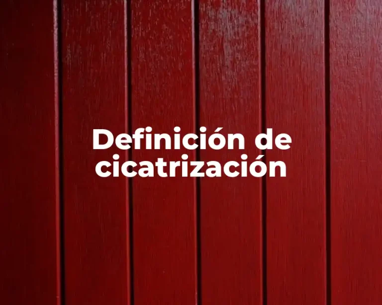 Definición de cicatrización