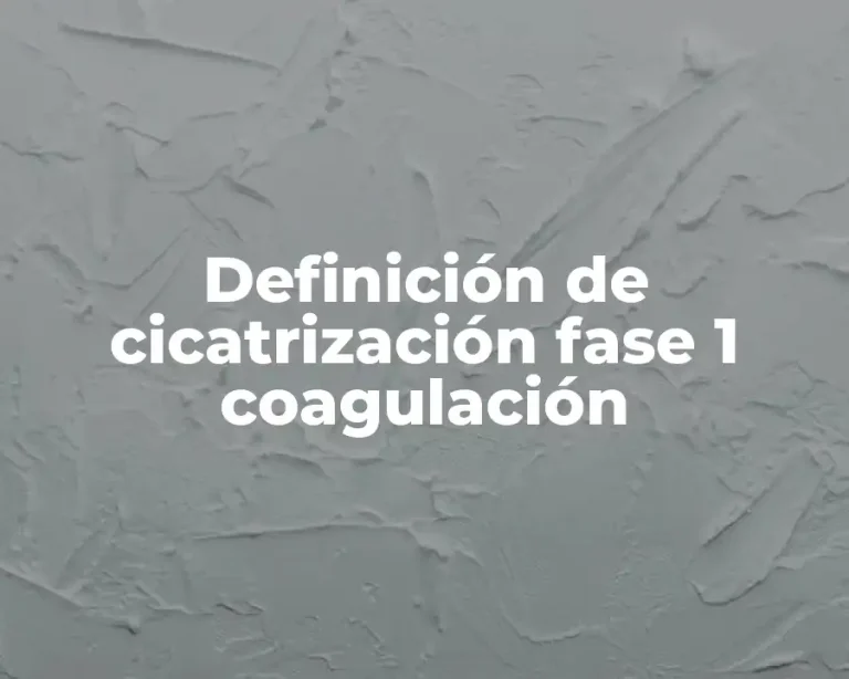 Definición de cicatrización fase 1 coagulación
