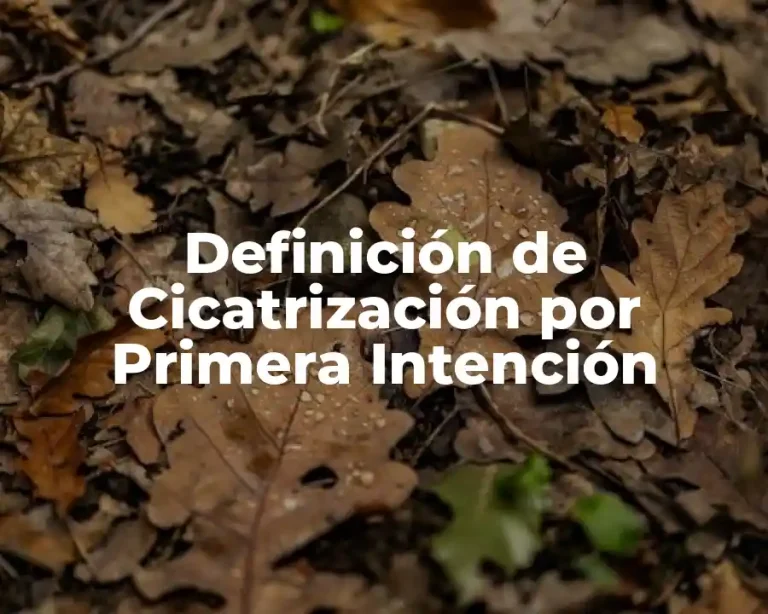 Definición de Cicatrización por Primera Intención