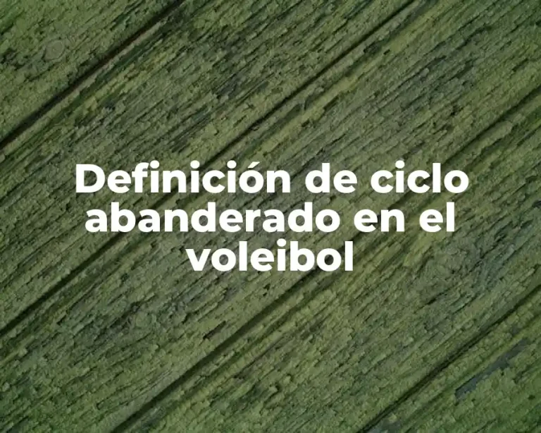 Definición de ciclo abanderado en el voleibol