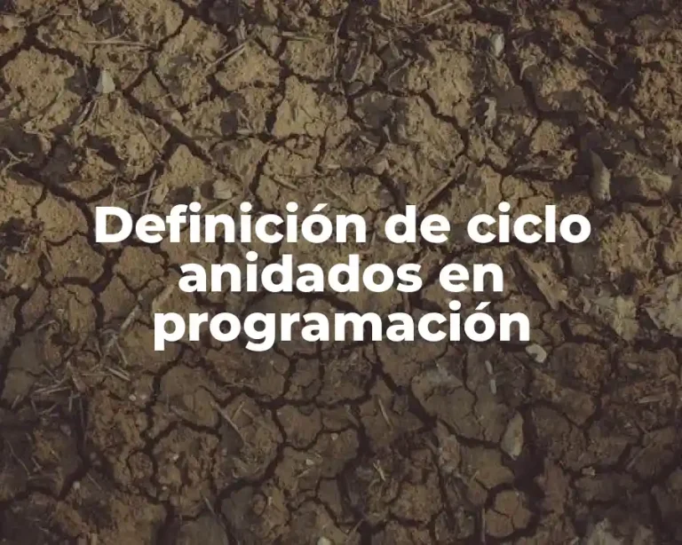 Definición de ciclo anidados en programación