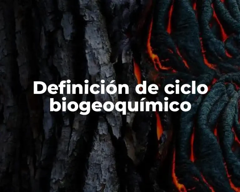 Definición de ciclo biogeoquímico