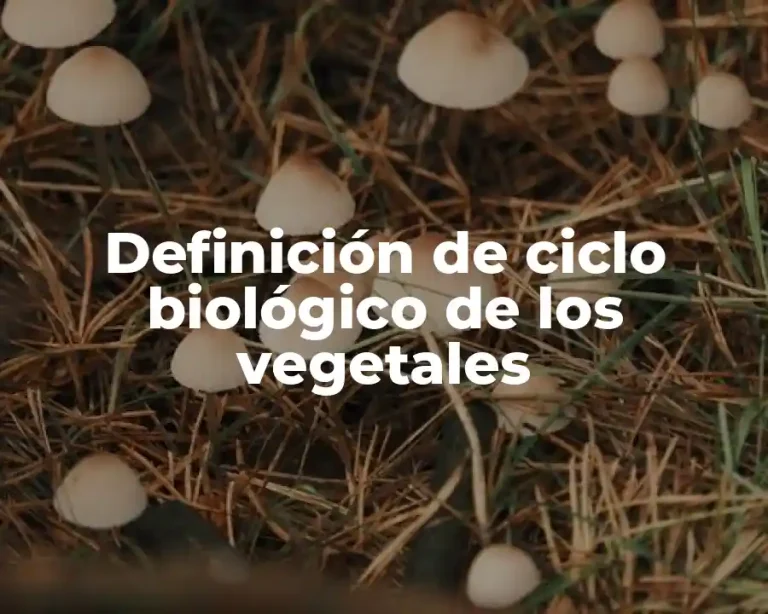 Definición de ciclo biológico de los vegetales