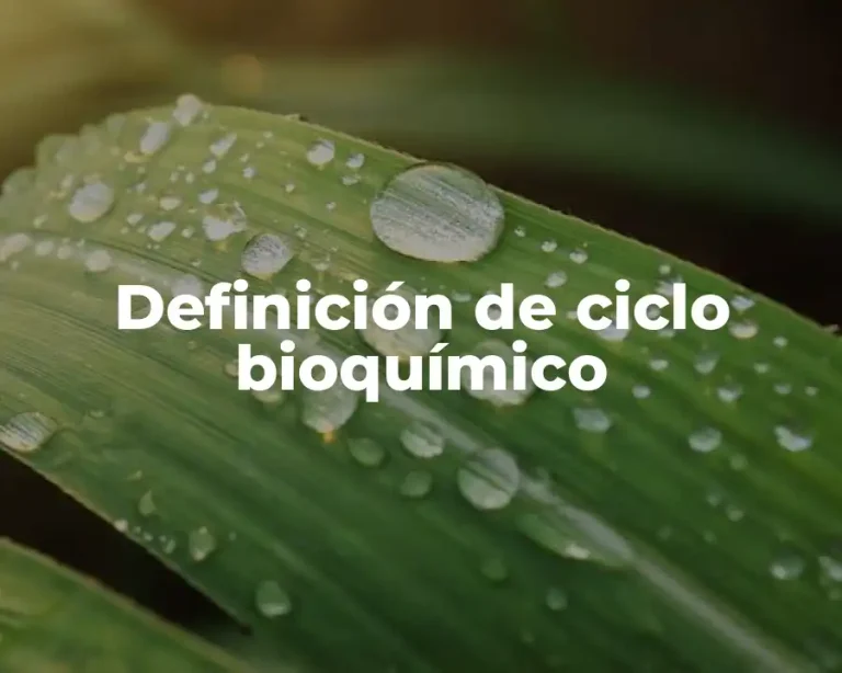 Definición de ciclo bioquímico