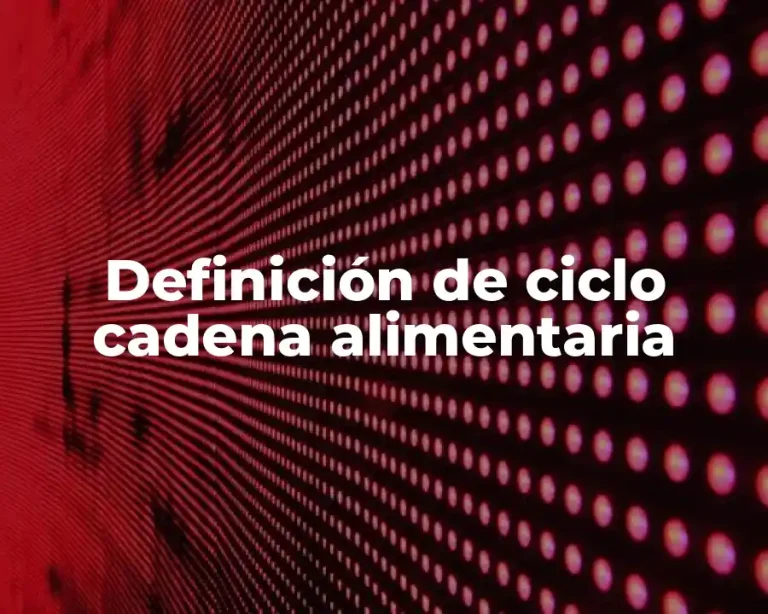 Definición de ciclo cadena alimentaria