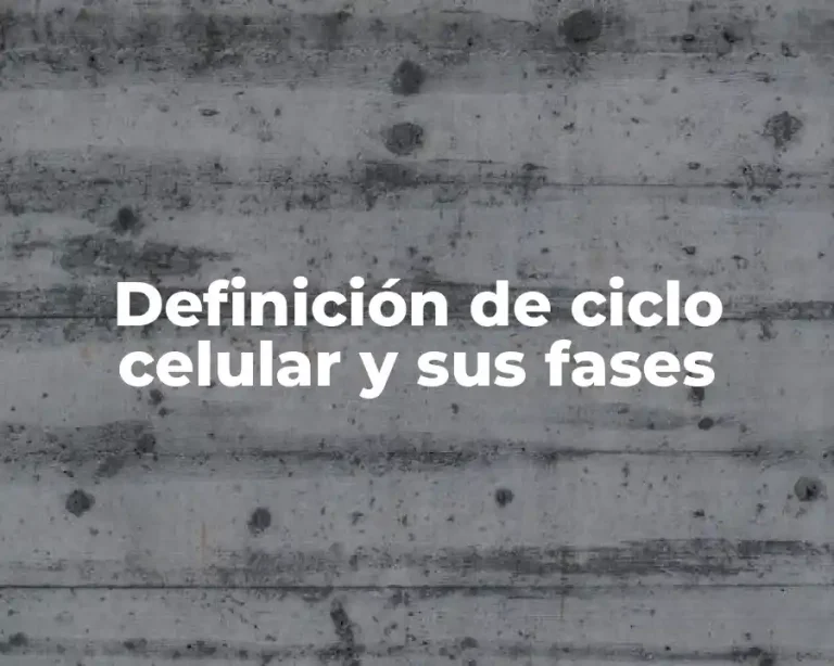 Definición de ciclo celular y sus fases